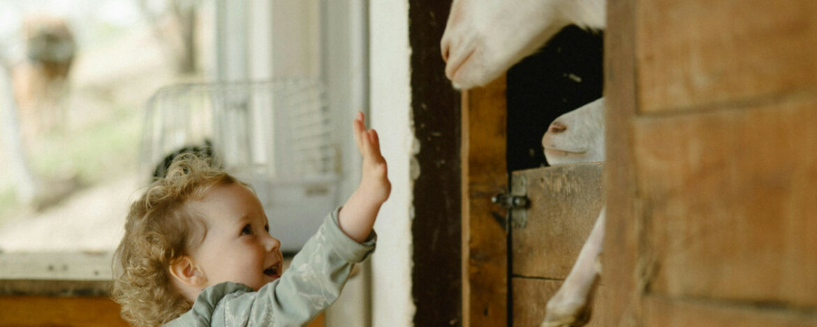 Un jeu de société pour éveiller les enfants au monde des animaux